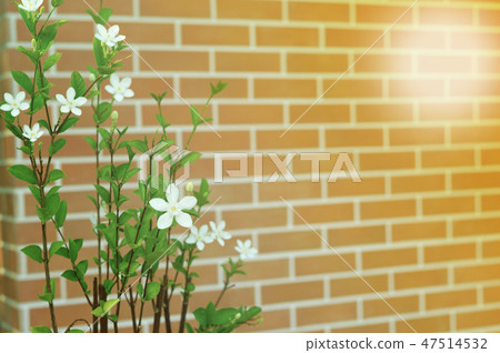 Little white blossom flowers with red bricklayer Little white blossom flowers with red bricklayer 47514532
