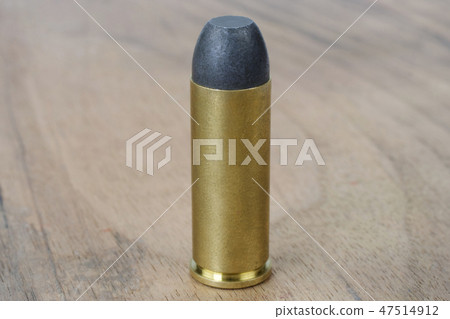 Black-powder round .45 cal. dating to 1872 47514912