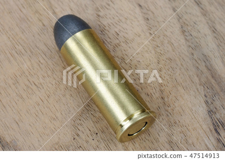 Black-powder round .45 cal. dating to 1872 47514913