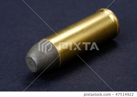 Black-powder round .45 cal. dating to 1872 47514922
