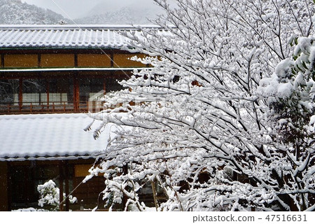 在日本的雪景 在日本的雪景 47516631