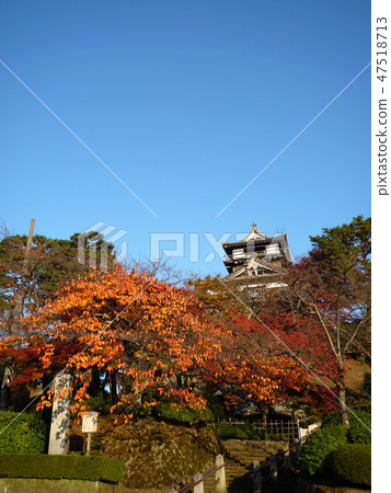 Maruoka-jo Castle 100 47518713