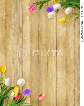 Background - Flowers - Wall - Board - Wood grain - Brown - Tulip - Spring 47519950
