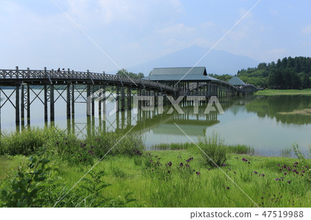 Tsuru no Mahō 47519988