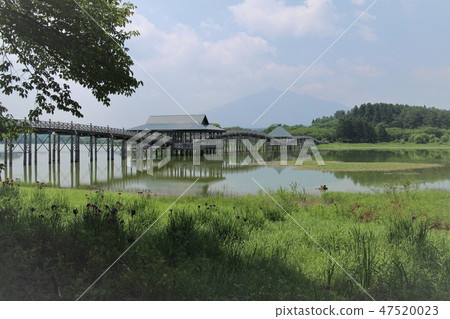 Tsuru no Mahō 47520023