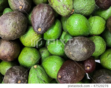 Hass avocado with dark green and green colored 47520278