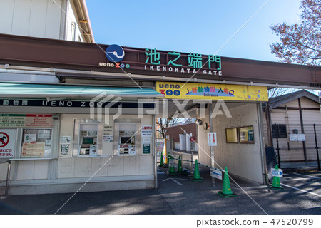 故宮上野動物園 47520799