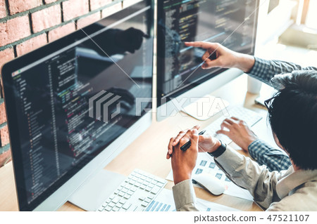 Developing programmer Team Development Developing programmer Team Development 47521107