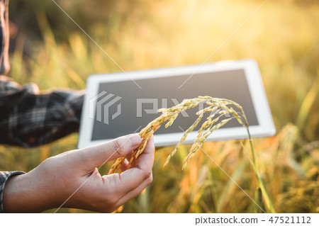 Smart farming Agricultural technology and organic 47521112