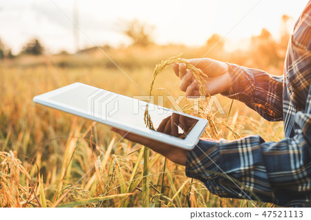 Smart farming Agricultural technology and organic 47521113