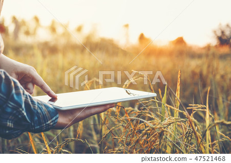 Smart farming Agricultural technology and organic Smart farming Agricultural technology and organic 47521468