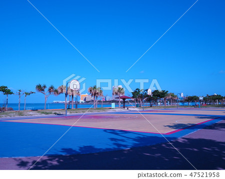 Basketball 47521958