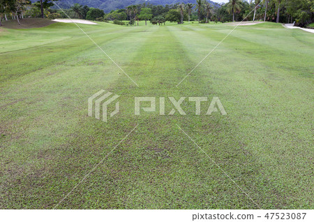 beautiful green grass field of golf course beautiful green grass field of golf course 47523087