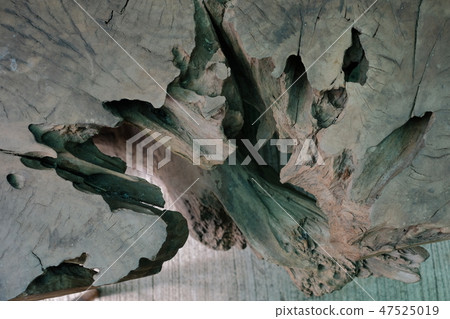 Abstract timber from high angle view Abstract timber from high angle view 47525019
