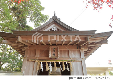 天神神社（福岡） 47525159