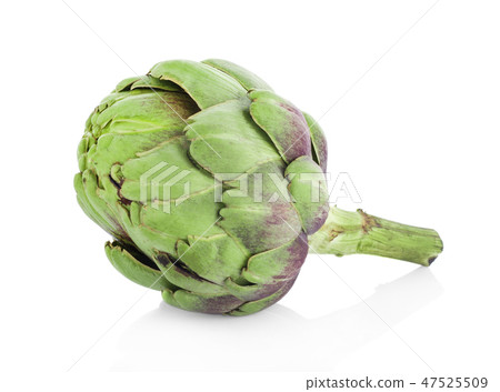 artichoke isolated on white background artichoke isolated on white background 47525509