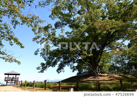 Yamagata 47526699