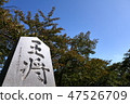 山形 47526709