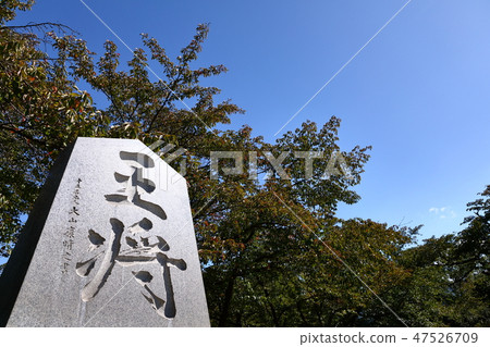 山形 47526709
