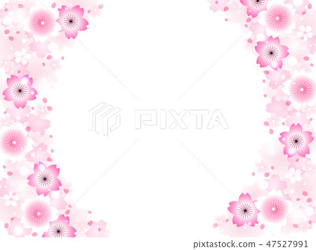 Cherry blossom background 47527991