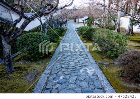 冬天寺廟在京都在冬天 47528423