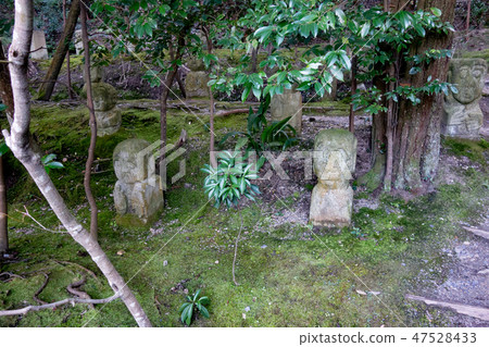 冬天寺廟在京都在冬天 47528433