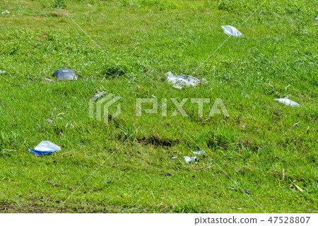 After typhoon 47528807