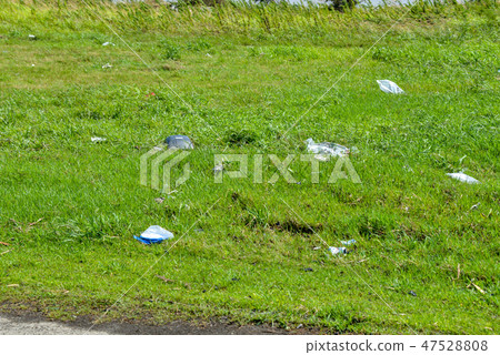 After typhoon 47528808