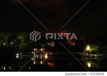 Mountain-burning seen from Ukimido 47529356