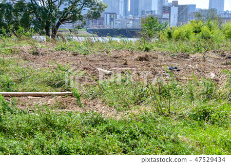 颱風過後 47529434