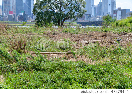 颱風過後 颱風過後 47529435