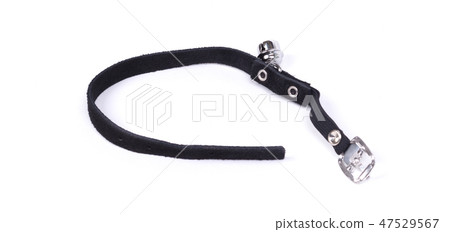 Collar cat, isolated 47529567