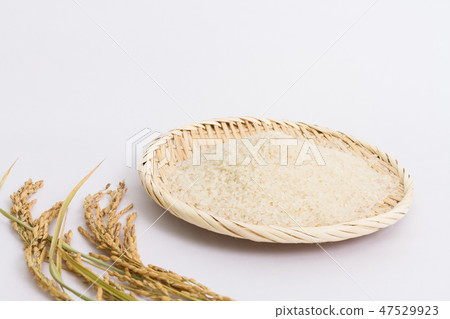 Rice Rice 47529923