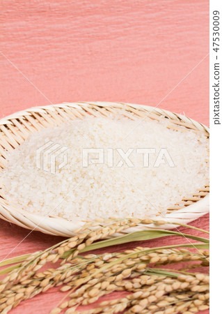 Rice 47530009