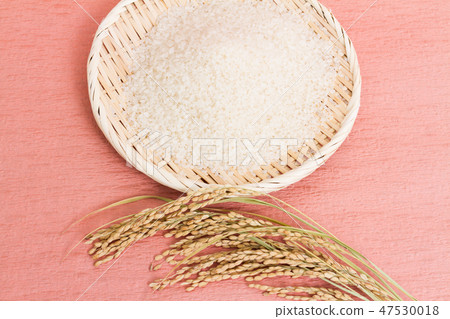 Rice 47530018