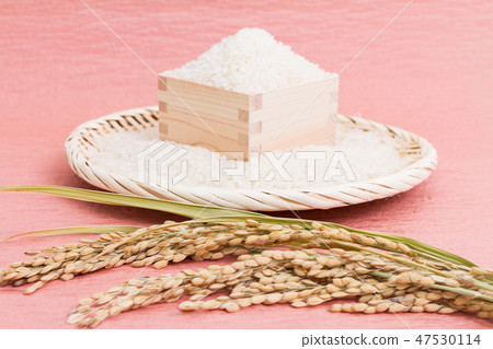飯 飯 47530114