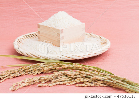 飯 飯 47530115