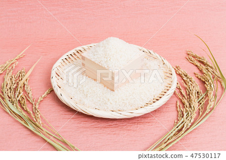 飯 飯 47530117