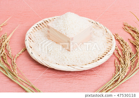 飯 飯 47530118