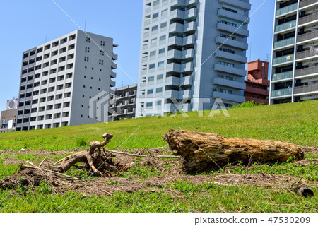 After typhoon After typhoon 47530209