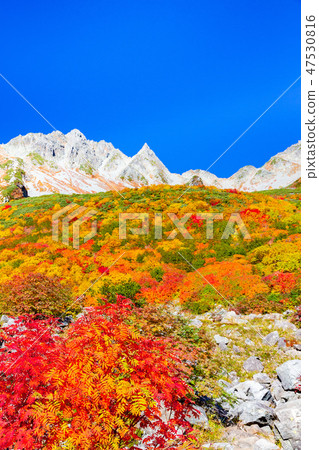 秋葉北阿爾卑斯山·乾燥 秋葉北阿爾卑斯山·乾燥 47530816