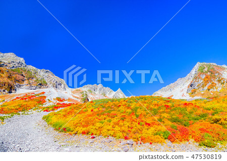 秋葉北阿爾卑斯山·乾燥 秋葉北阿爾卑斯山·乾燥 47530819
