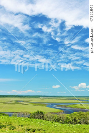 Kiritappu moorland of Hokkaido blue sky 47531945