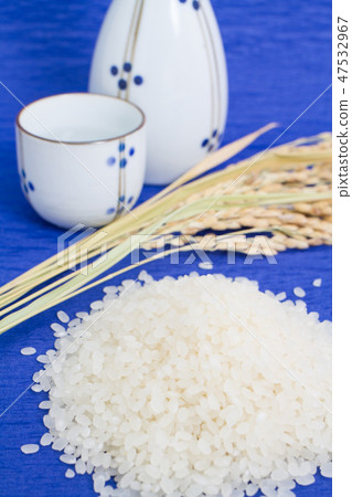 Rice 47532967