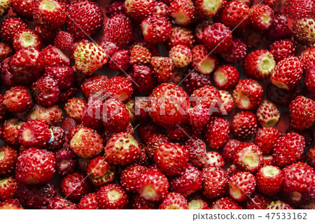 Strawberry macro photos. Strawberry macro photos. 47533162