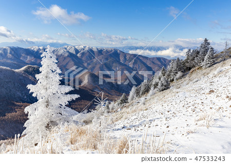 Larch of the Mihigahara / fog ice Larch of the Mihigahara / fog ice 47533243