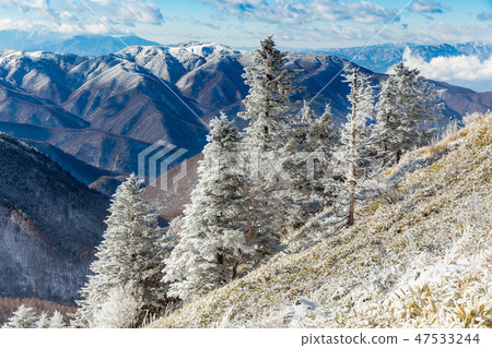 Larch of the Mihigahara / fog ice 47533244