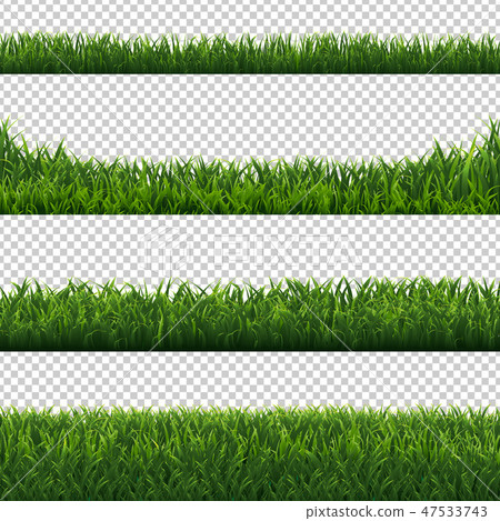 Green Grass Borders Set Transparent Background Green Grass Borders Set Transparent Background 47533743