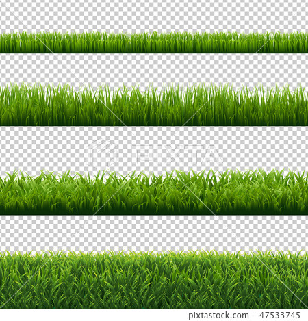 Green Grass Borders Set Isolated Transparent Green Grass Borders Set Isolated Transparent 47533745