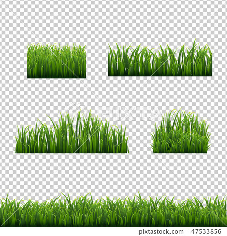 Big Set Green Grass Borders Transparent Background - Stock Illustration ...